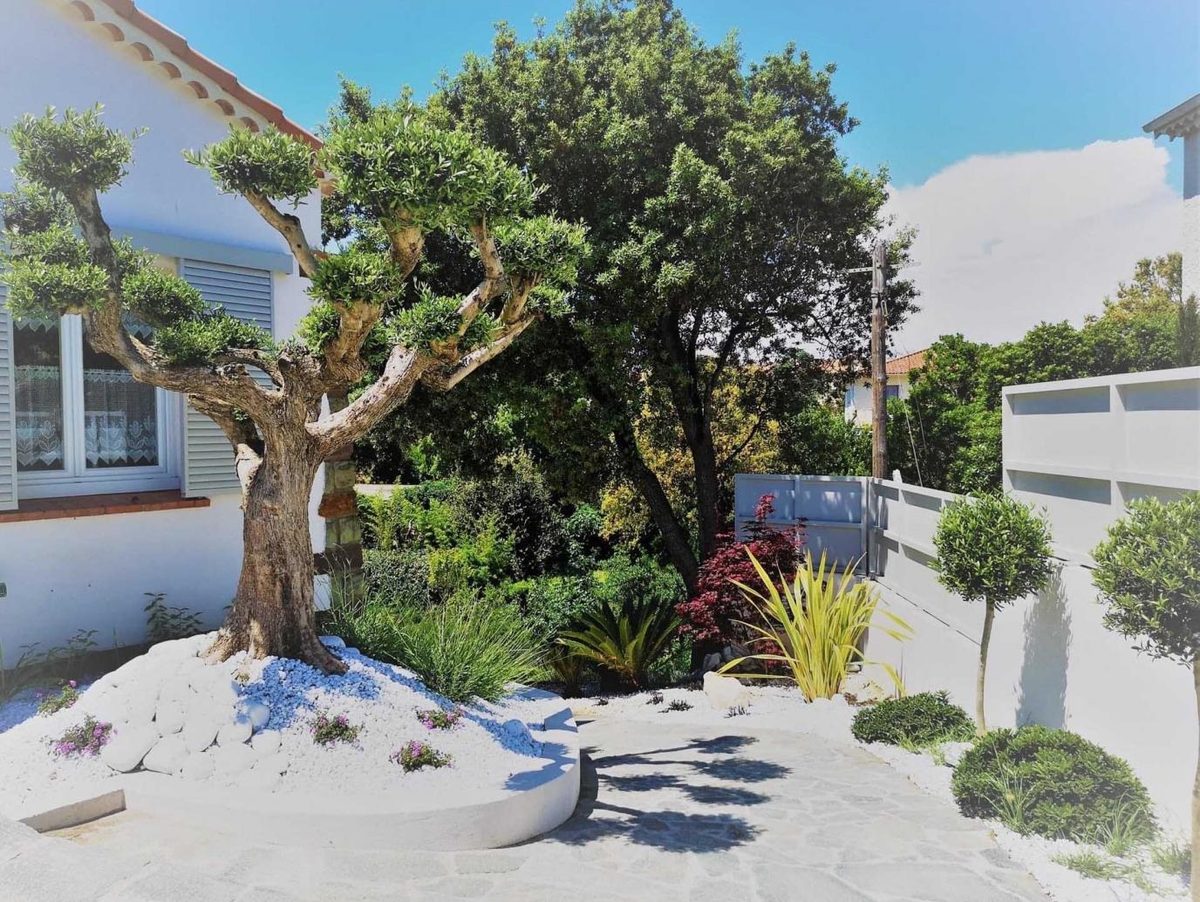Arbres taillés et oliviers dans un jardin entretenu
